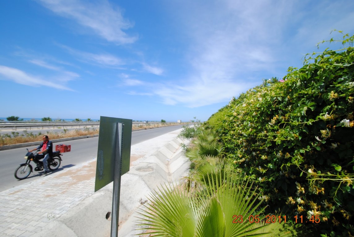 imagini hotel AMELIA BEACH RESORT SIDE